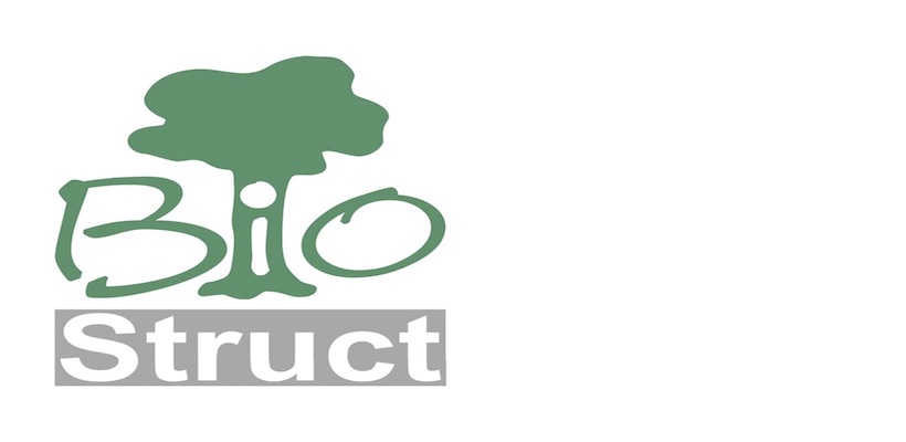 BioStruct_Logo